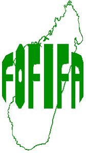 Fofifa